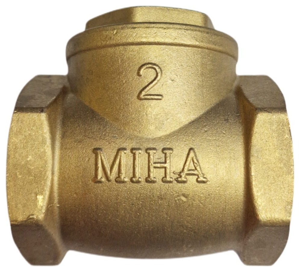Check Valve 2in