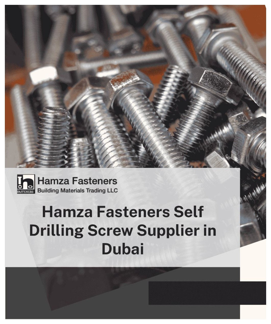 Fastener Self Drilling 12x50mm