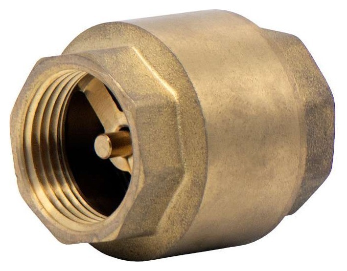 Non Return Valve 2in