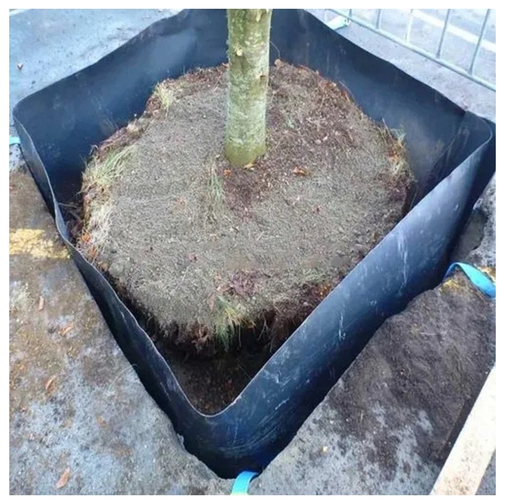 Tree Root Barrier